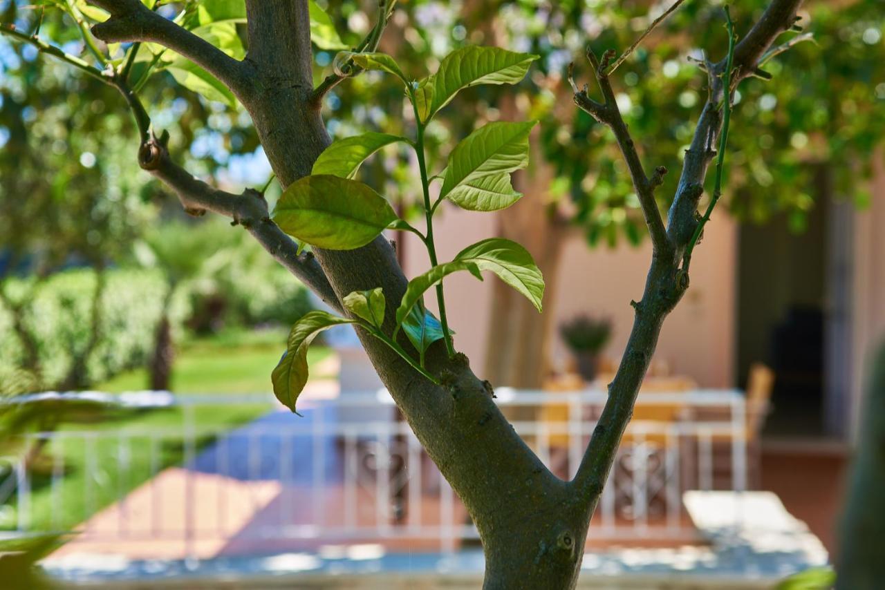 Moma Villa